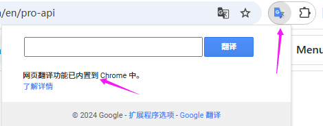 Google 翻译