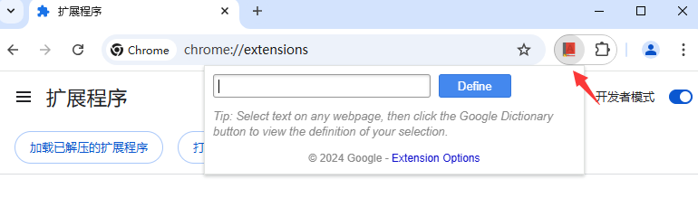 Google Dictionary