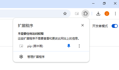 pip(画中画)