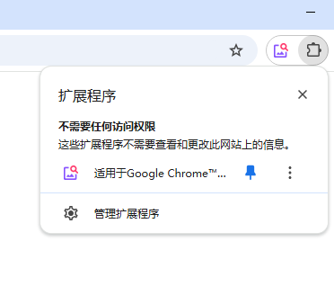 适用于Google Chrome的图标查找器