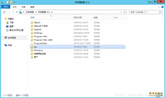 NetFx3.cab