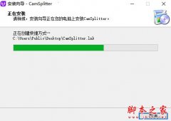 CamSplitter