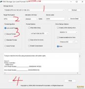 Disk Storage Low Level Format
