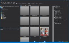 Proxima Photo Manager Pro