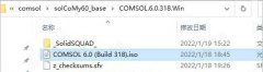 Comsol Multiphysics