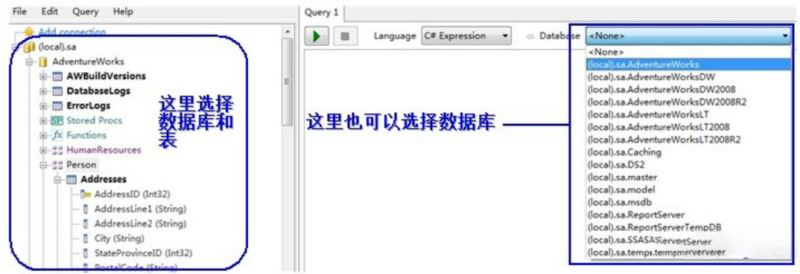 LINQPad8