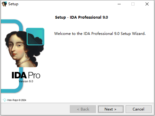 IDA Pro