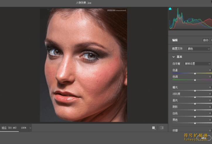 Adobe Camera Raw