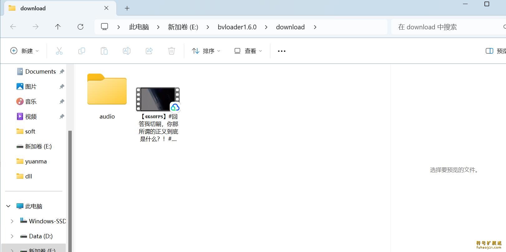 BVLoader