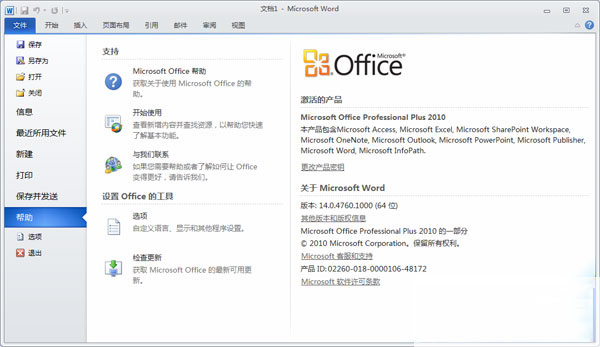 Microsoft Office Professional