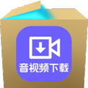 神奇音视频自动下载软件
