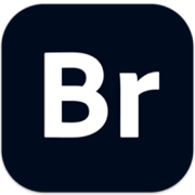 Adobe Bridge2025