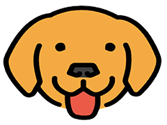 Bruno