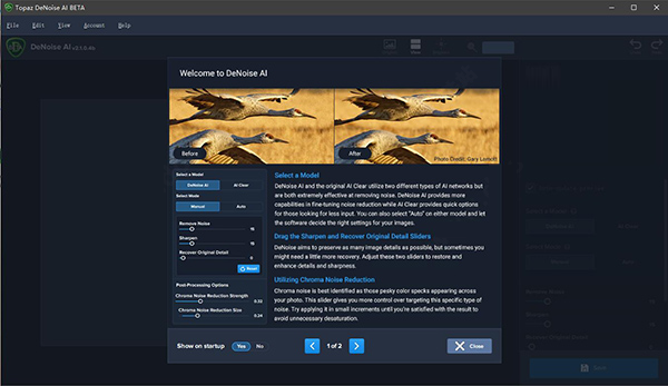 Topaz DeNoise AI v3.3.1