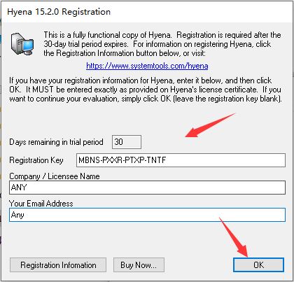 SystemTools Hyena