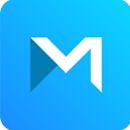 MAGIX Movie Studio 2025 Platinum