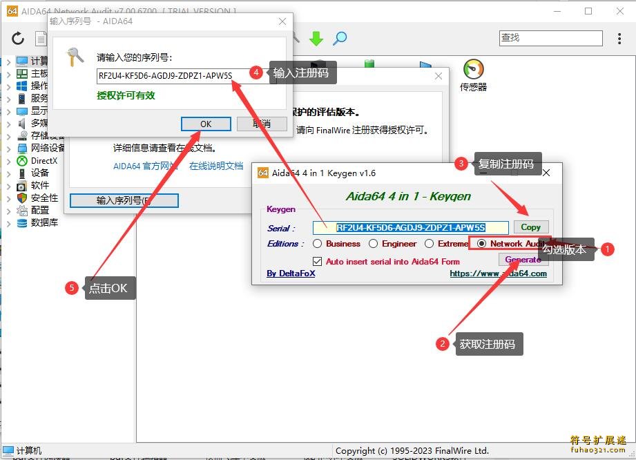 AIDA64 Network Audit