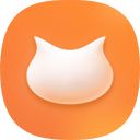 飞猫盘